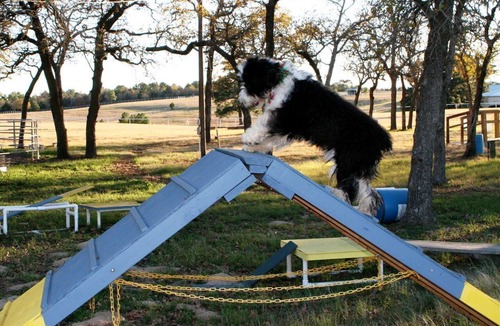 Paige Cabin | Pet-Friendly Accommodation on a Ranch in McDade, Texas