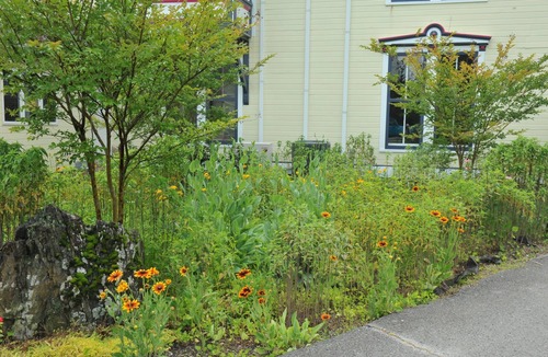 Sharon Cottage | Pet-Friendly Station at Firmstone Manor