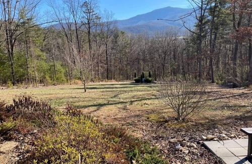 Luray House | Private 10 acres with Blue Ridge Mountain Views! Enjoy any season RIGHT here!