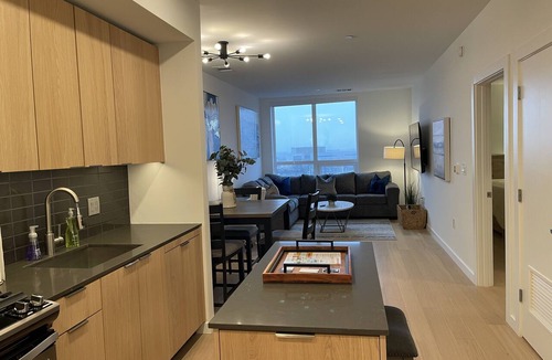 Reston Apartment | Reston Town Center Station Apartment - 10 mins walk to DC access!