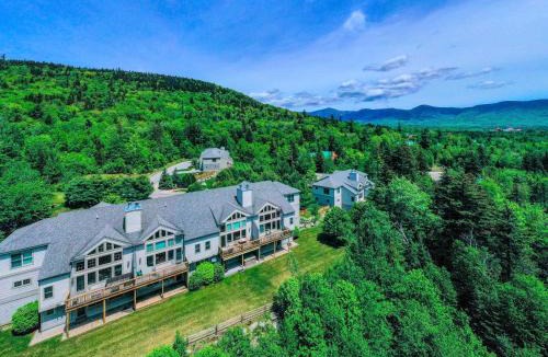 Carroll House | SH5 Luxurious Stone Hill Townhome