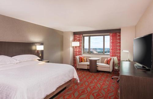 Metro Center Hotel | Sheraton Springfield Monarch Place Hotel