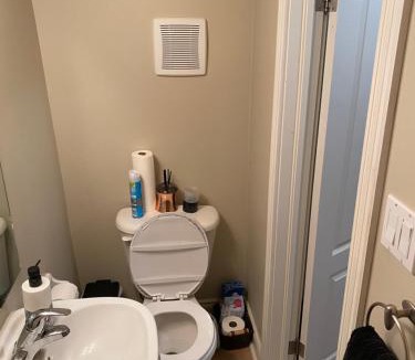 Humber Bay House | Spacious Basement with Private Bathroom and Entrance