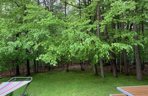 Saratoga Springs House | Spacious Saratoga Home, sleeps 20+ near Saratoga Racetrack