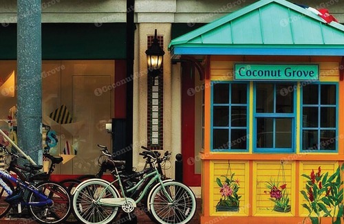 Coconut Grove Apartment | Spectacular Corner Deluxe Studio Free Park & Pool