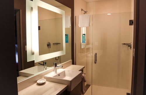 Middle River Hotel | SpringHill Suites Baltimore White Marsh/Middle River