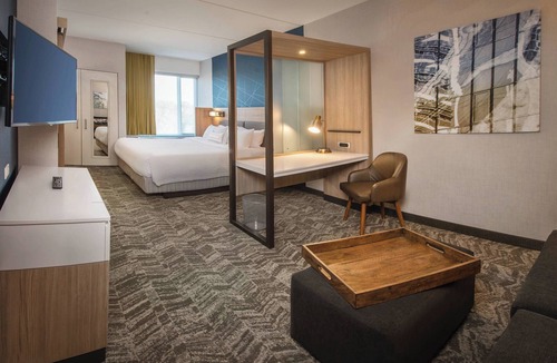 Lakeview Hotel | SpringHill Suites by Marriott Gainesville Haymarket