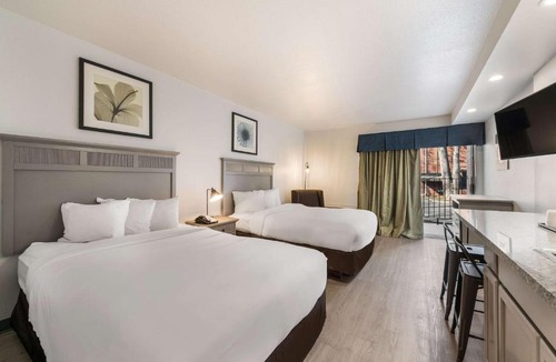 Williamsburg Hotel | Suburban Studios Williamsburg Central