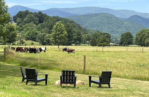 Roseland House | Summer has arrived. No charge for the view!