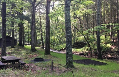 Mathias RV Rental | Tentrr State Park Site - WV Lost River State Park - Wooded Wilderness B - Single