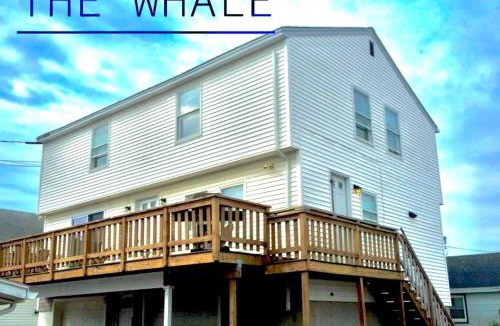 Hampton House | The Blue Parrot at Hampton Beach