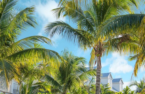 Historic Seaport Hotel | The Marker Key West Harbor Resort