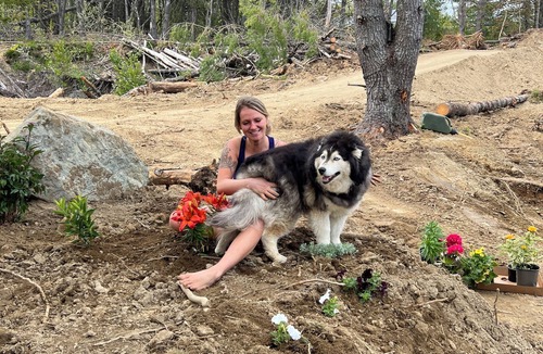 Bar Harbor RV Rental | Under construction, 2024 summer! Abuts the Sunrise Trail! Book now!