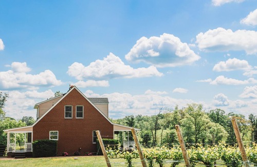 Huntly House | Vineyard Cottage w/BBQ & Scenic Views