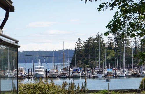 West Sound Cottage | Waterfront cottage with tidelands, creek and waterfall!
