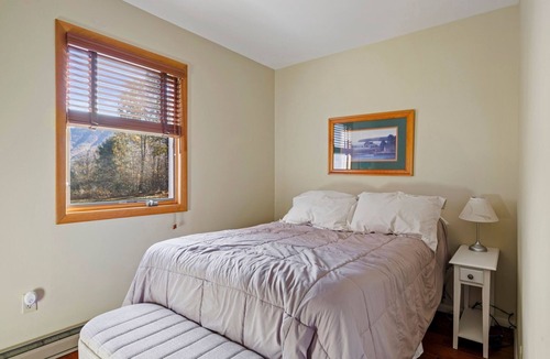 Windham Cabin | Windham Alpine Ski Lodge - Fire place and Ski Slope views
