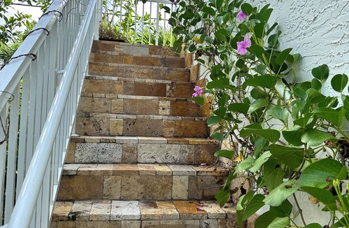 Southwest Coconut Grove House | Your Grove Home