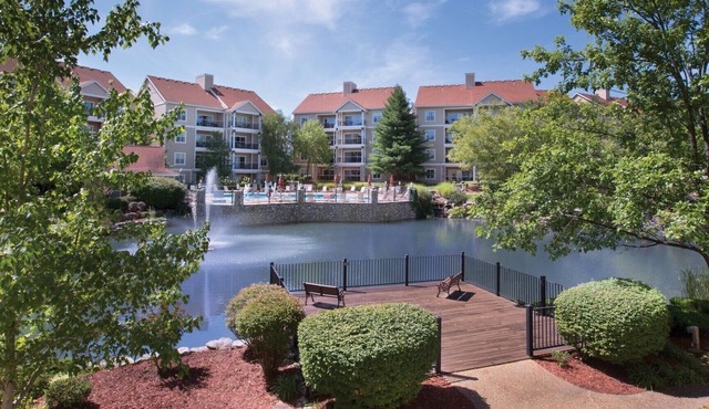 1Bed/1Bath Deluxe Condo in Branson! Close to so Many Attractions!