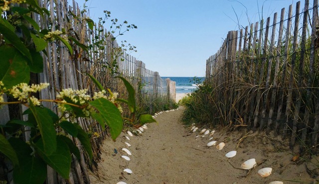 Beachfront House - Can't get any closer to the beach than this home!
