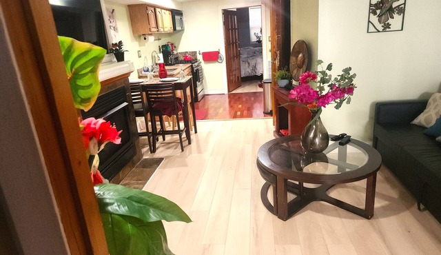 Beautiful 2-BR Apt Sleeps 5 Fabulous Location Historic Street Family-friendly