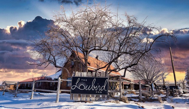 Boutique Retreat, Loubird Property