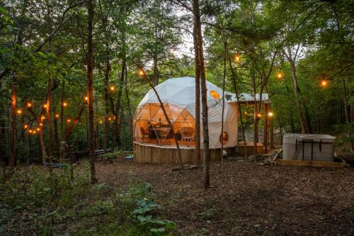 Campfire Hollow