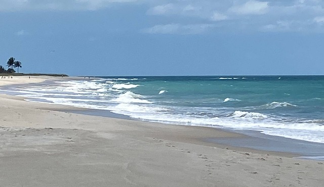 Central Beach, 3 Blocks to Beach, Dining and Shops