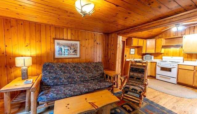 Charming Pet-Friendly Cabin in Ely, Ideal for Getaways to Nature in Minnesota