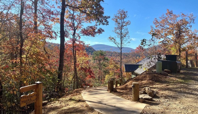 Cozy Cabin; no hurricane damage; we would love your support!