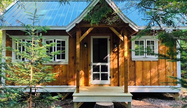 Cozy Maine cabin nestled in the woods, dog-friendly
