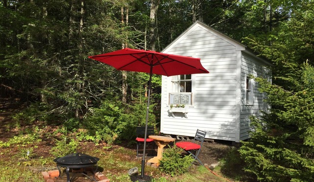 Cozy, Tiny House Edge of Forest Acadia/Blue Hill