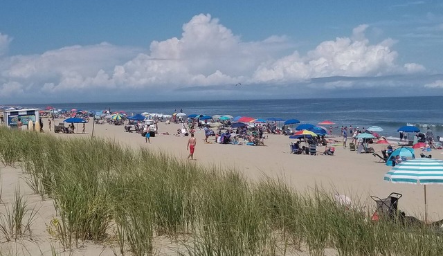 Dewey Beach Get-Away! 309 steps to Beach & Bay; Walk to 23 bars & restaurants