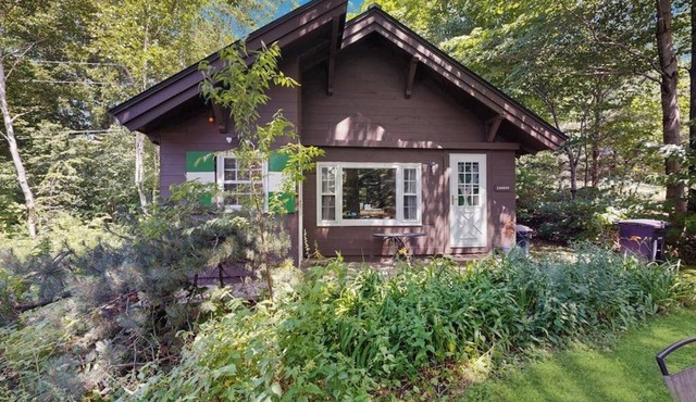 Dog-friendly & charming mountain chalet w/fireplace
