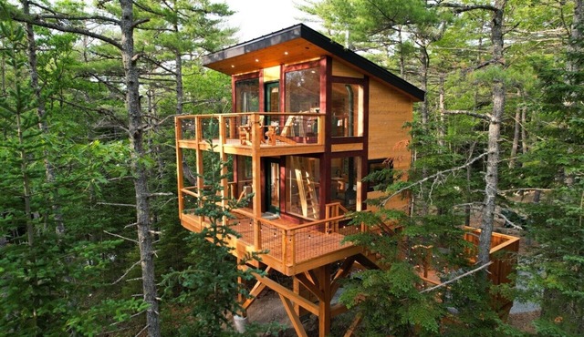 Forest Views | Private Hot Tub | Alder Treehouse