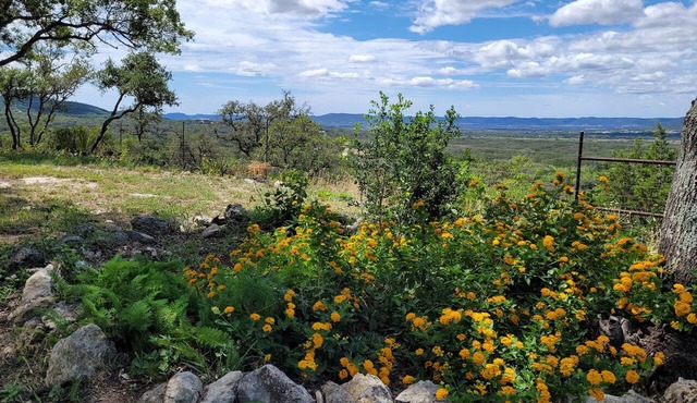 Get Outside for Spring Break-13 mi to Lost Maples SNA, 22 mi to Garner Park!