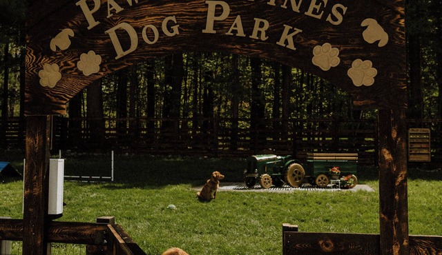 Greenville Getaway- Paws & Pines: pet- focused stay with HOT TUB & GAME ROOM
