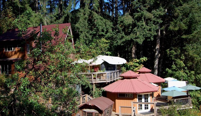 Hillside Deck Cottages: A cozy, rustic PNW retreat perfect for 4.