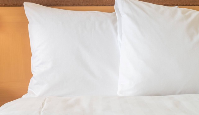 Holiday Inn Express Inn & Suites Searcy by IHG