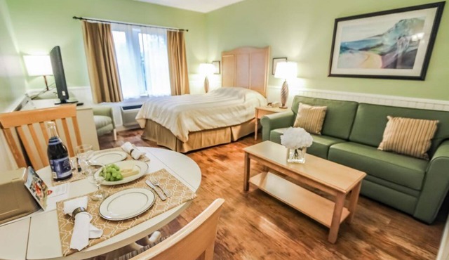 Holly Tree Resort - Studio