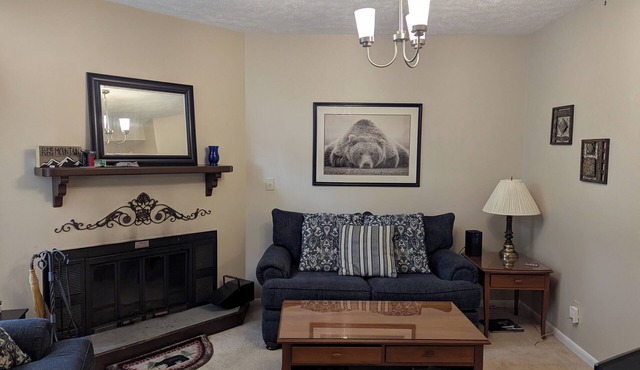 Ideal Location: 1-bedroom condo. Top of Wintergreen Resort. Easy walk all around