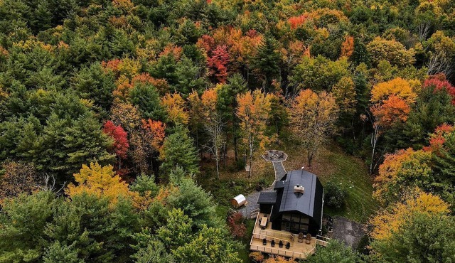 Incredible Secluded Cabin with Barrel Sauna, Fire Pit and Deck for an Unforgettable Getaway in the Finger Lakes in New York