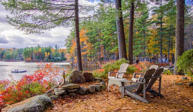 Lakefront kid-friendly home with dock & swing in great location - dog-friendly