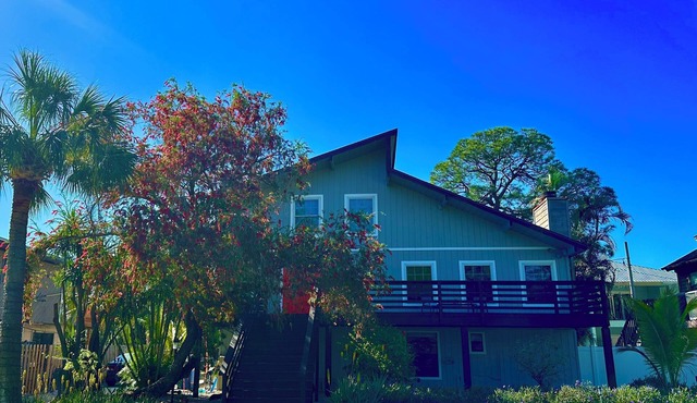 Luxe 4BR 2.5B Treetop Beach Escape Sleeps 10 Near #1 Beaches & Downtown St. Pete
