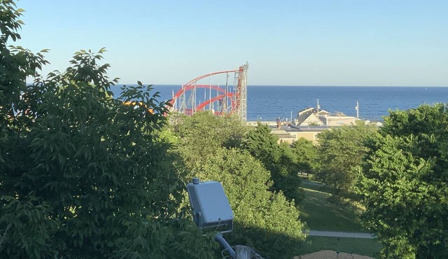 Modern Condo overlooking Memorial Park, with Great views of OOB