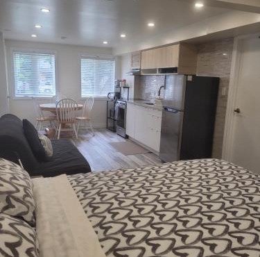 Modern studio with kitchenette and bath