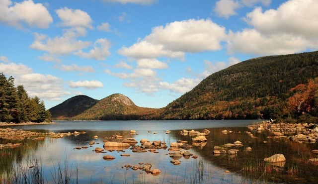 Oceanfront Cottage at Acadia National Park, Bar Harbor/Shearwater Cottage