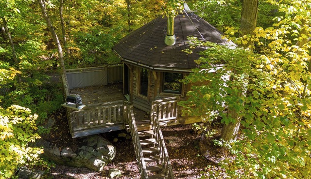 Perched yurt treehouse with skylights | Lodging #09