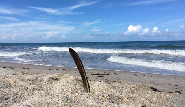Rare experience at Old Florida mid-century seaside estate