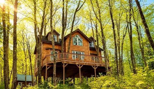 Real Treehouse Adventure Rustic meets Luxury