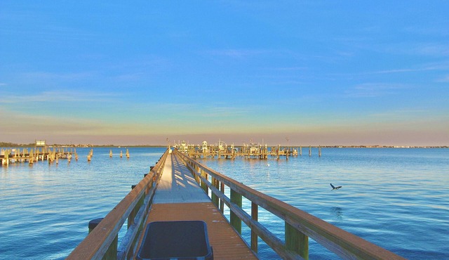 Relax Poolside - Minutes to Downtown & Beach